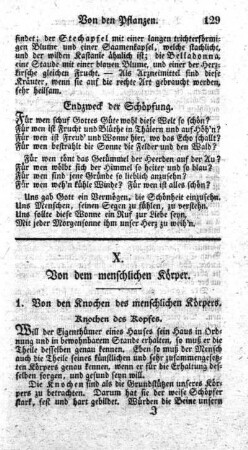 X. Von dem menschlichen Körper