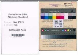 Entnazifizierung Anna Kohlleppel, geb. 19.09.1894 (Telefonistin)