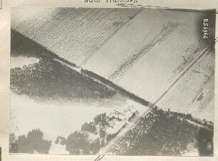 Marschierende Truppen bei Hochmutting (800 m)