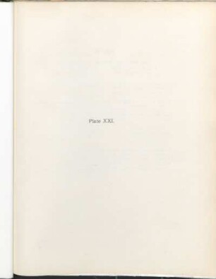 Plate XXI.