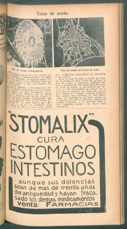 Telas de araña