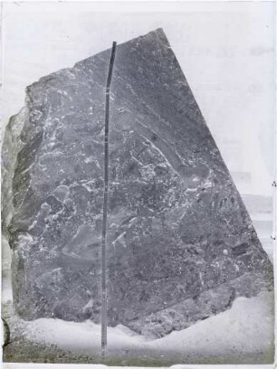 Steinbruch Lauster, Travertinblock mit Fossil