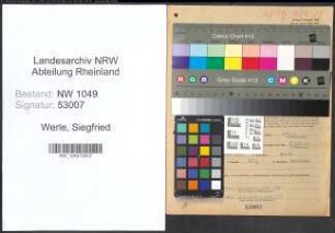 Entnazifizierung Siegfried Werle , geb. 28.02.1915 (Ingenieur)