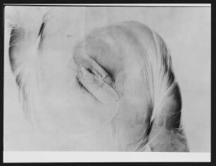 Torso, 2-fach in Folie