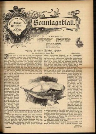 Ausgabe vom Sonntag, den 28. November 1897.