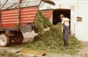 Fotografie: Fütterungstechnik, Ladewagen, Futterband