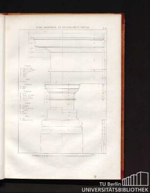 Base, chapiteau et entablement toscan. Pl. 8.