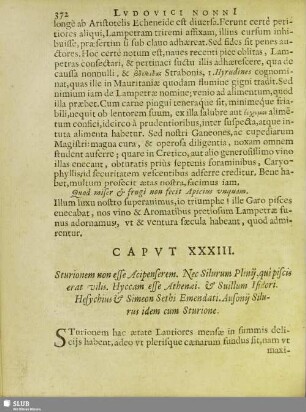 Caput XXXIII