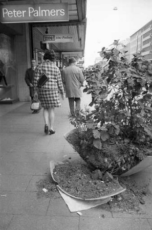 Blumenschmuck in der Karlsruher Innenstadt.