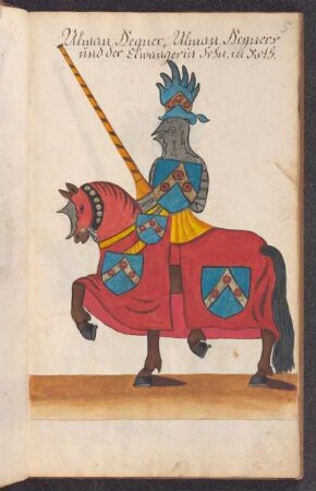 Turnierreiter: Ulman Hegner