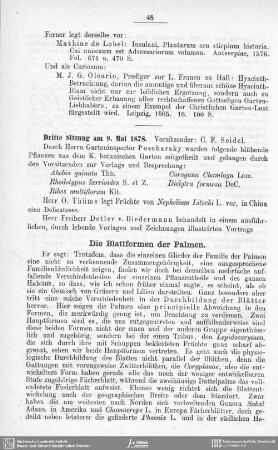 Die Blattformen der Palmen