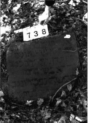 Grabstein 738