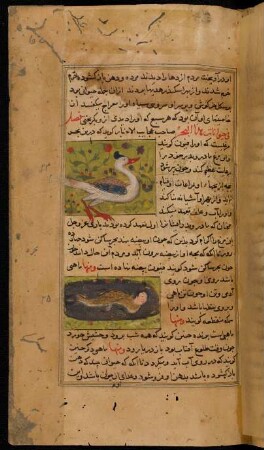 Illustration: f. 62r-62v