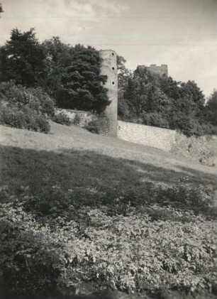 Frauenstein : Burgruine Frauenstein, Rundturm und einer der viereckigen Haupttürme