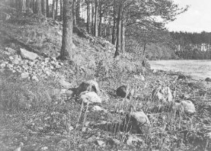 Endmoräne am Enzigsee bei Nörenberg in Pommern : Geologie | Geologische Charakterbilder | Die Endmoränen im norddeutschen Flachlande
