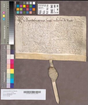 Des Hochwürdigen Domkapitels Dinstbefreiung der beiden Erbe Nordhoff und Brocker [Kirchspiel Gimbte] betreffende Nachrichten.