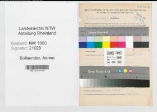 Entnazifizierung Aenne Bollaender, geb. 09.02.1891 ()