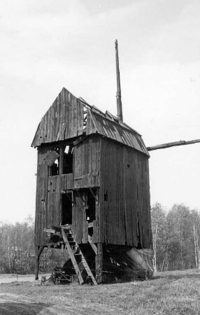 Windmühle Zemnick