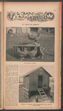 La higiene del gallinero : El campo y la chacra