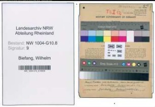 Entnazifizierung Wilhelm Biefang , geb. 28.03.1879 (Ingenieur)