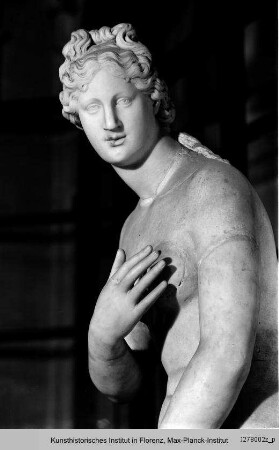 Venus und Cupido (nach einem griechischen Original, Kopf und andere Teile ergänzt) : Kopf (Ergänzung der antiken Statue)