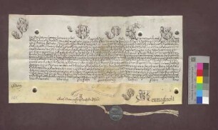 Papst Pius VI. konfirmiert die Wahl des Franz Josef Sigmund von Roggenbach zum Bischof von Basel.