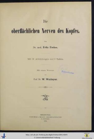 Die oberflächlichen Nerven des Kopfes