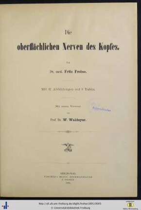Die oberflächlichen Nerven des Kopfes