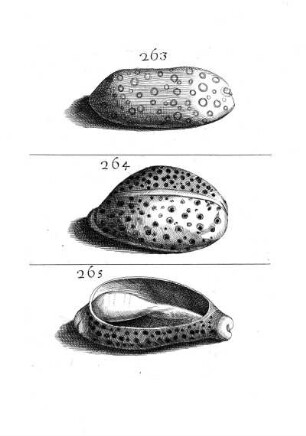 263. - 265.