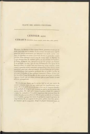 Cerisier Hatif. Cerasus Propera ...