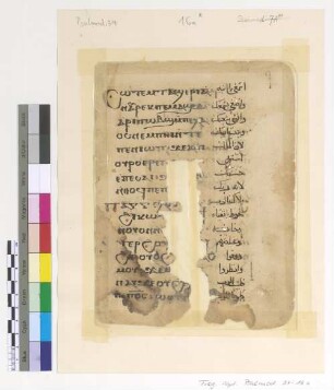 Ps. XLIV, 11-12; Ps. XXXIII, 8-9-to the end of vers; Ps. CIII, 4,3- to the end of verse; Ps. LXXIX, 2-3