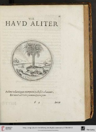 VIII. Havd aliter