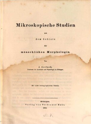 Mikroskopische Studien aus dem Gebiete der menschlichen Morphologie