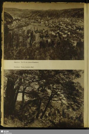 Hainsberg. Förster-Tauchnitz-Bank