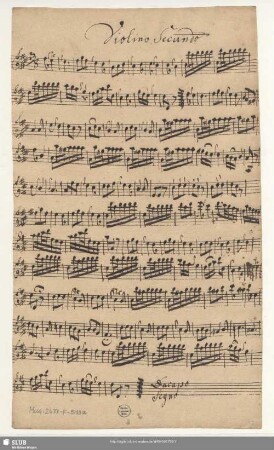 Violino Secundo