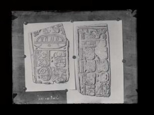 [48]: Hieroglyphen aus Copán, Quiriguá, Palenque, Tikal und Sacchana (Sabacché)