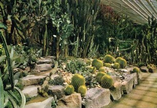 Bundesgartenschau 1967. Succulentenhaus und Kakteen im Botanischen Garten