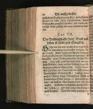 Cap. VII. Der Brüderschafft Hertz/ Geist und Leben ist Liebe ... [u. a.]