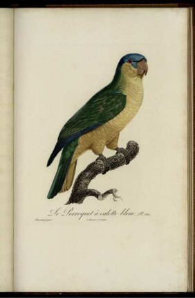 Pl. 121 [bis] Pl. 139 [Pl. siehe arabische Paginierung]