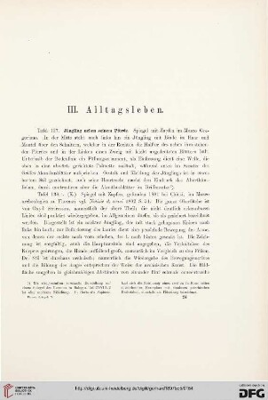 III: Alltagsleben