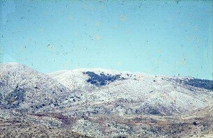 Zedern auf dsch. Baruk (1800 m) [Gebel baruk]