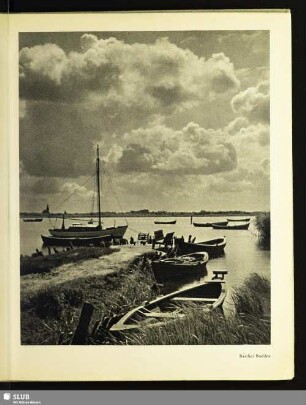 Barther Bodden