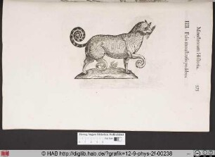 Felis monstrosis pedibus.