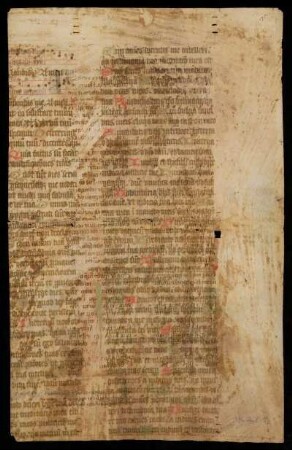 [Psalterium feriatum]; Ps 118, 81-128.