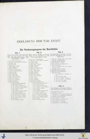 Erklärung der Tab. XXXIV.