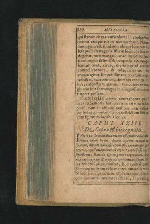 Caput XXIII. De Capra & his cognatis.