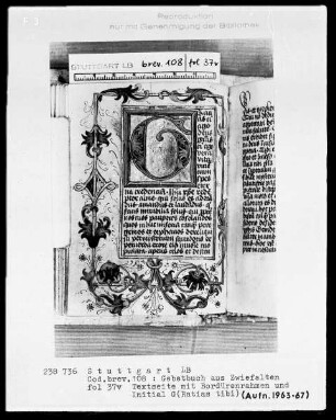 Gebetbuch aus Zwiefalten — Initiale G(Ratias tibi) und Bordüre, Folio 37verso