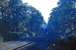 Strecke Bremen-Vegesack - Farge: Einfahrt in den Bahnhof Bremen-Blumenthal: Waldstück "Im Löh"