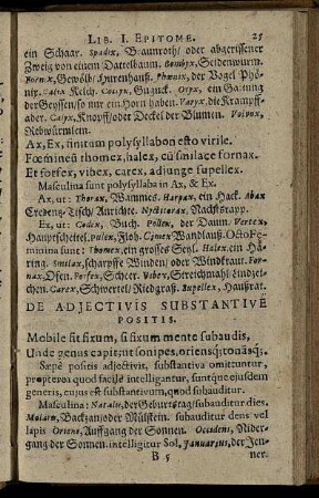 De Adiectivis Substantive Positis