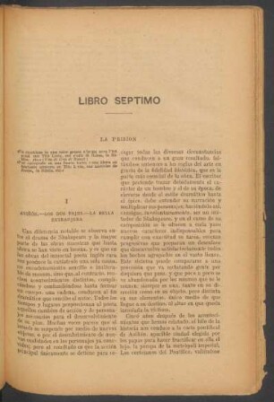 Libro séptimo - La prisión
